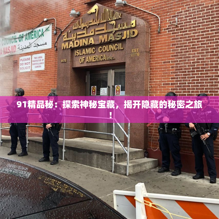 91精品秘：探索神秘宝藏，揭开隐藏的秘密之旅！