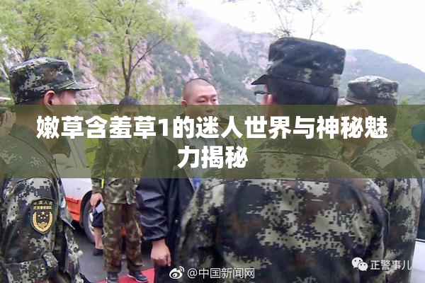 嫩草含羞草1的迷人世界与神秘魅力揭秘