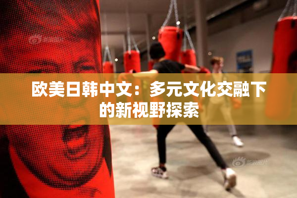 欧美日韩中文：多元文化交融下的新视野探索