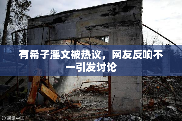 有希子淫文被热议，网友反响不一引发讨论