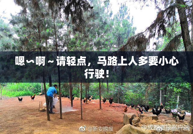 嗯∽啊～请轻点，马路上人多要小心行驶！