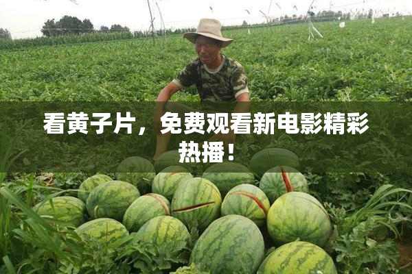 看黄子片，免费观看新电影精彩热播！