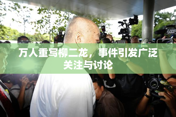 万人重写柳二龙，事件引发广泛关注与讨论