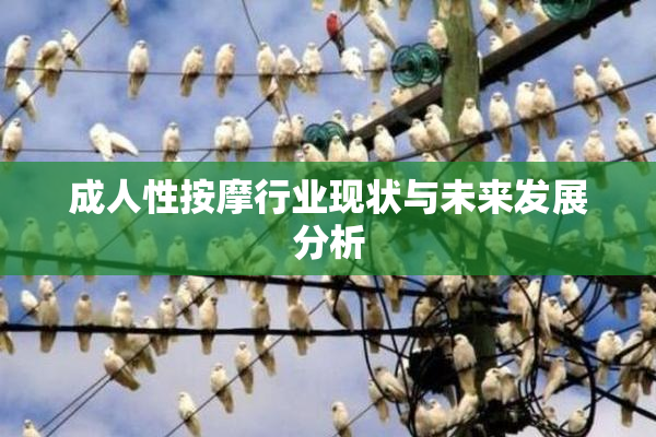 成人性按摩行业现状与未来发展分析