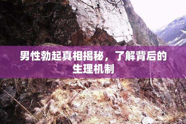 男性勃起真相揭秘，了解背后的生理机制