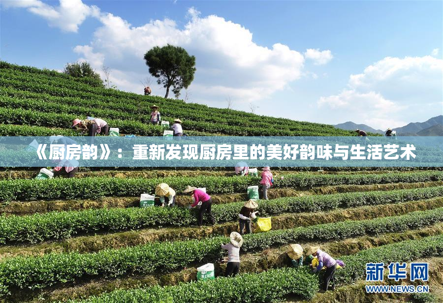 《厨房韵》：重新发现厨房里的美好韵味与生活艺术