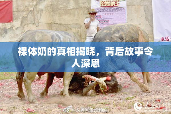 裸体奶的真相揭晓，背后故事令人深思