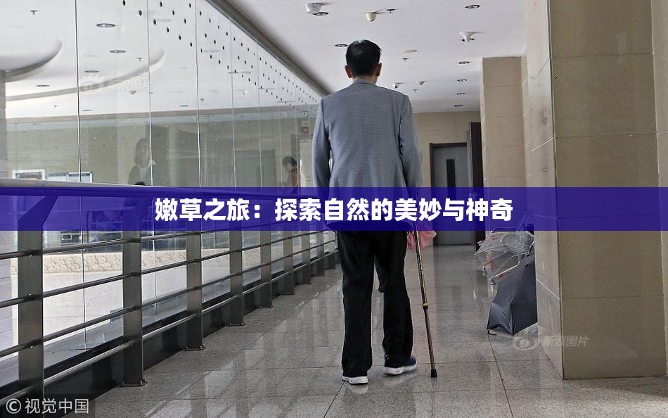 嫩草之旅：探索自然的美妙与神奇