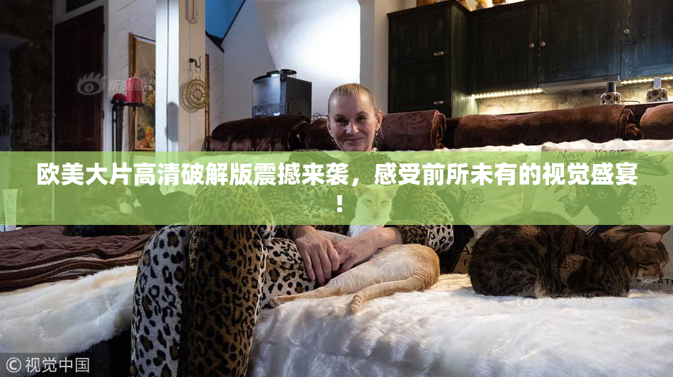 欧美大片高清破解版震撼来袭，感受前所未有的视觉盛宴！