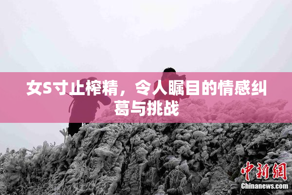 女S寸止榨精，令人瞩目的情感纠葛与挑战