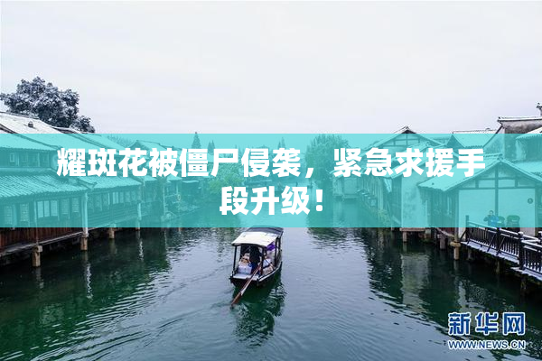 耀斑花被僵尸侵袭，紧急求援手段升级！