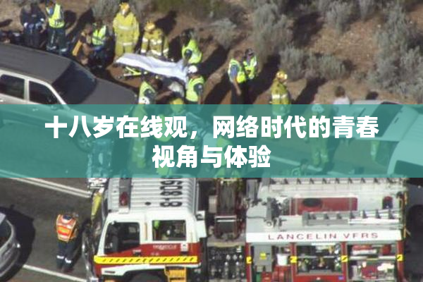 十八岁在线观，网络时代的青春视角与体验