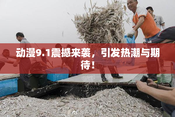 动漫9.1震撼来袭，引发热潮与期待！