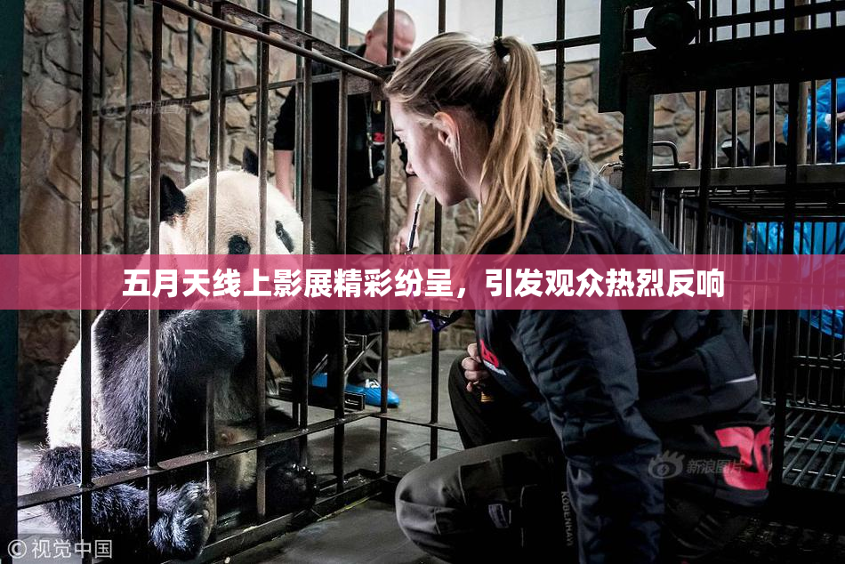 五月天线上影展精彩纷呈，引发观众热烈反响