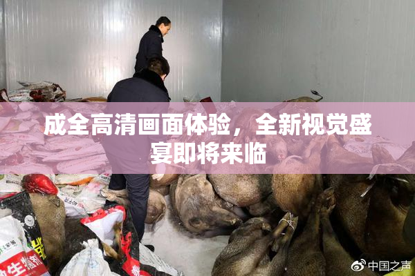 成全高清画面体验，全新视觉盛宴即将来临
