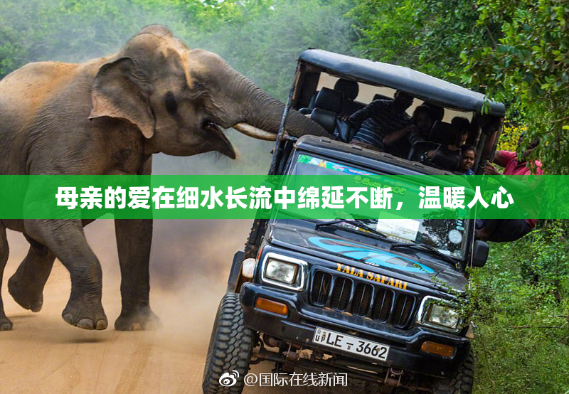 母亲的爱在细水长流中绵延不断，温暖人心
