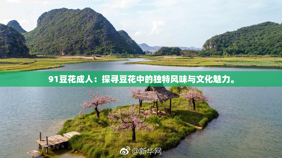 91豆花成人：探寻豆花中的独特风味与文化魅力。