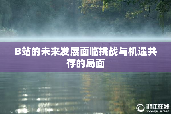 B站的未来发展面临挑战与机遇共存的局面