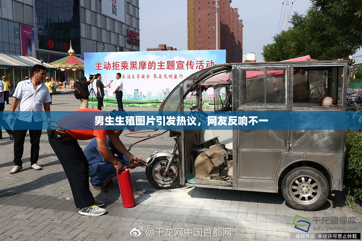 男生生殖图片引发热议，网友反响不一