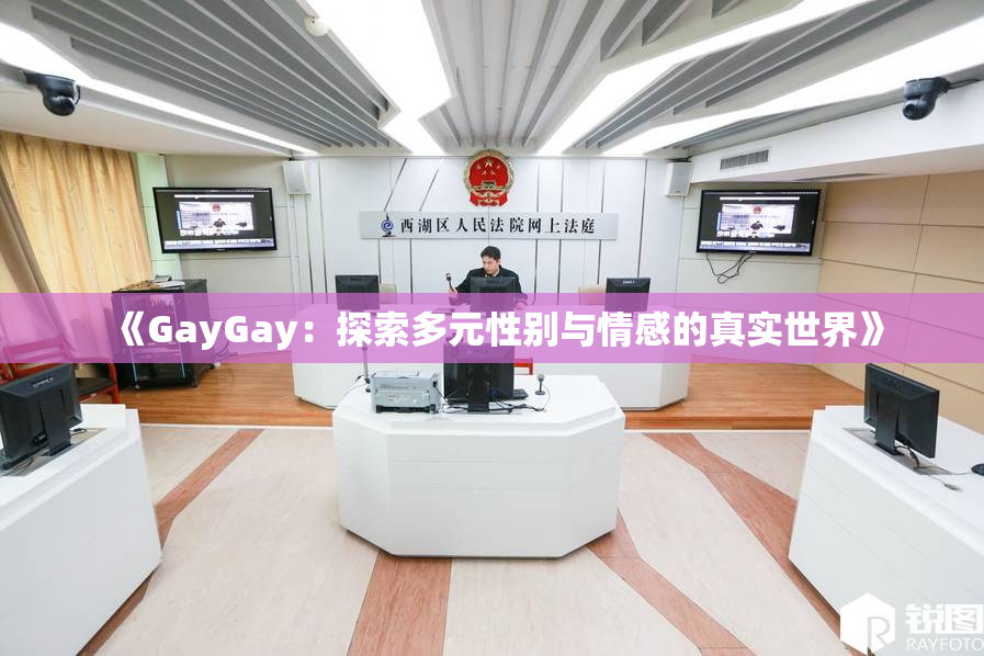 《GayGay：探索多元性别与情感的真实世界》