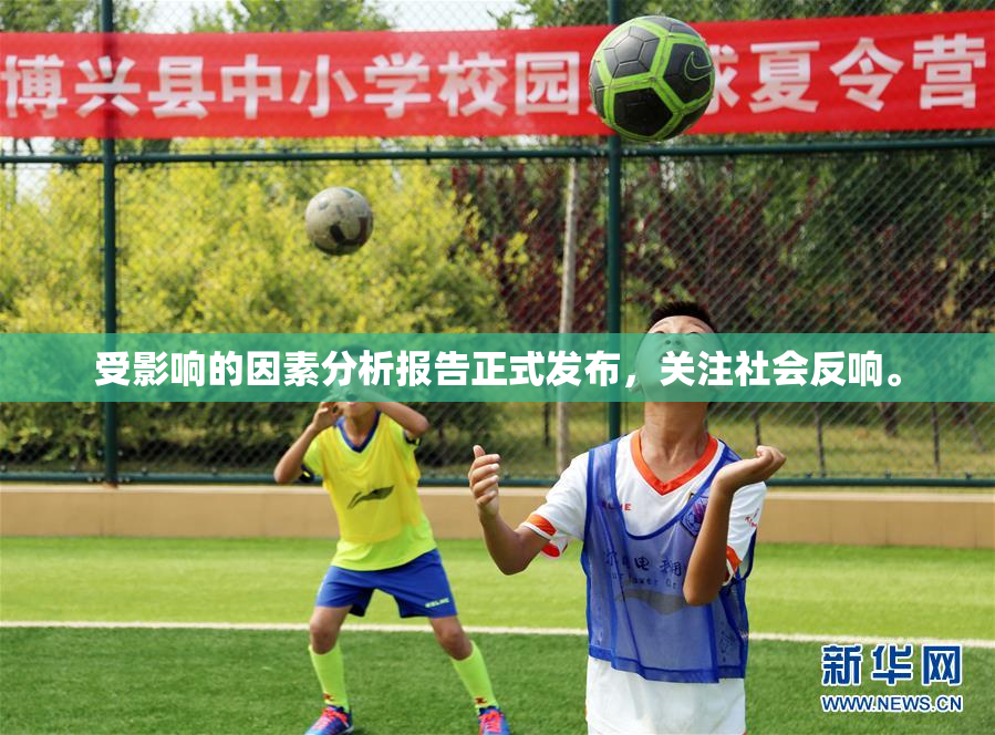 受影响的因素分析报告正式发布，关注社会反响。