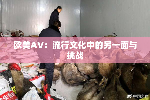 欧美AV：流行文化中的另一面与挑战