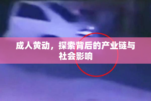 成人黄动，探索背后的产业链与社会影响