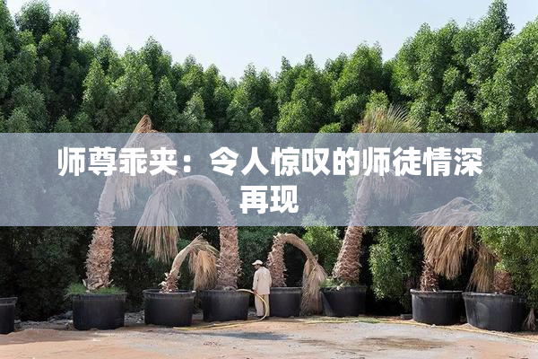 师尊乖夹：令人惊叹的师徒情深再现