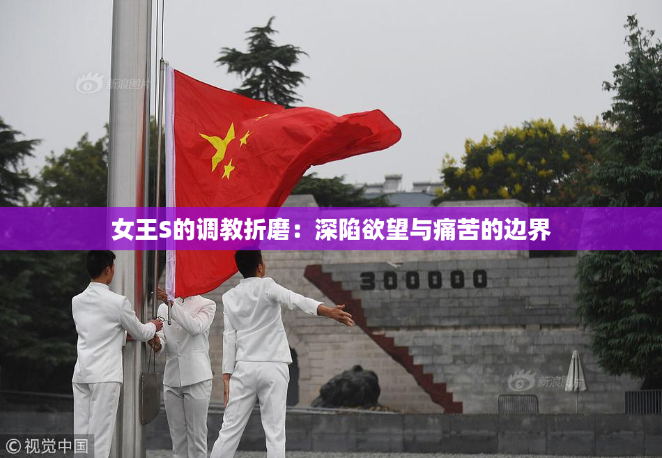 女王S的调教折磨：深陷欲望与痛苦的边界