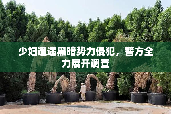 少妇遭遇黑暗势力侵犯，警方全力展开调查