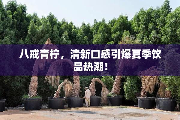 八戒青柠，清新口感引爆夏季饮品热潮！