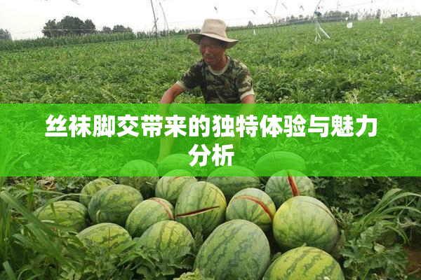 丝袜脚交带来的独特体验与魅力分析