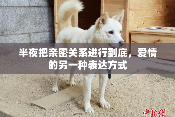 半夜把亲密关系进行到底，爱情的另一种表达方式