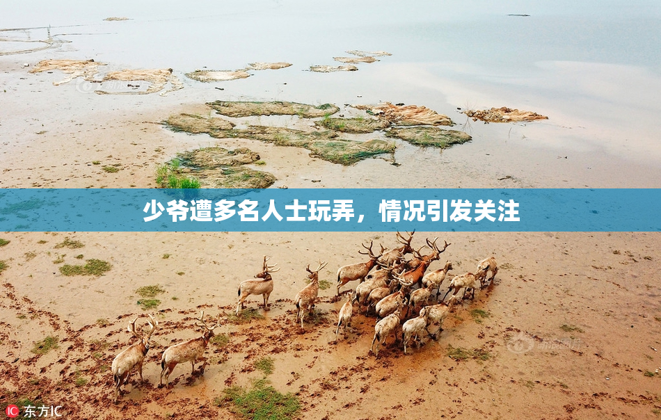 少爷遭多名人士玩弄，情况引发关注