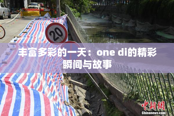 丰富多彩的一天：one di的精彩瞬间与故事