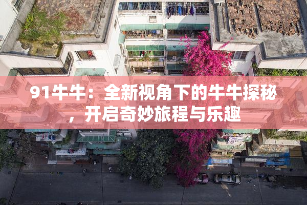 91牛牛：全新视角下的牛牛探秘，开启奇妙旅程与乐趣
