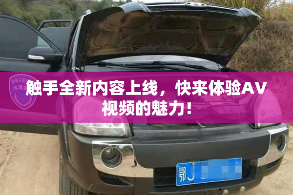 触手全新内容上线，快来体验AV视频的魅力！