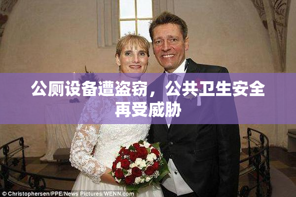 公厕设备遭盗窃，公共卫生安全再受威胁