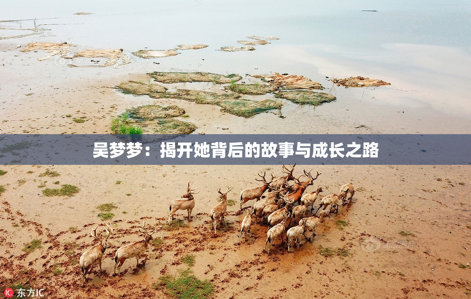 吴梦梦：揭开她背后的故事与成长之路