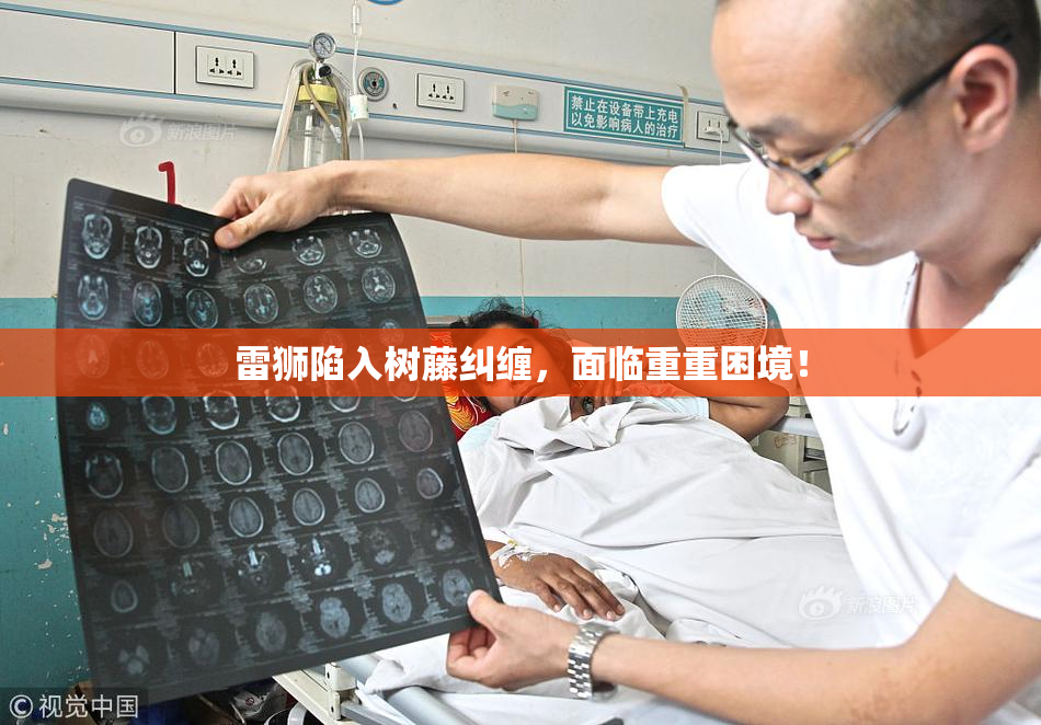 雷狮陷入树藤纠缠，面临重重困境！