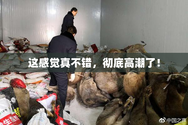 这感觉真不错，彻底高潮了！