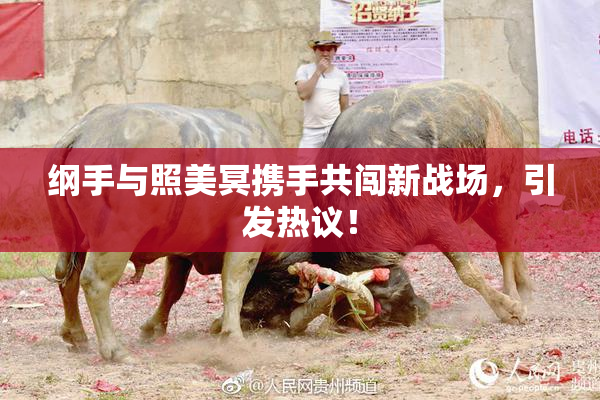 纲手与照美冥携手共闯新战场，引发热议！
