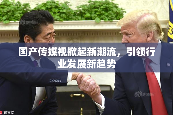 国产传媒视掀起新潮流，引领行业发展新趋势