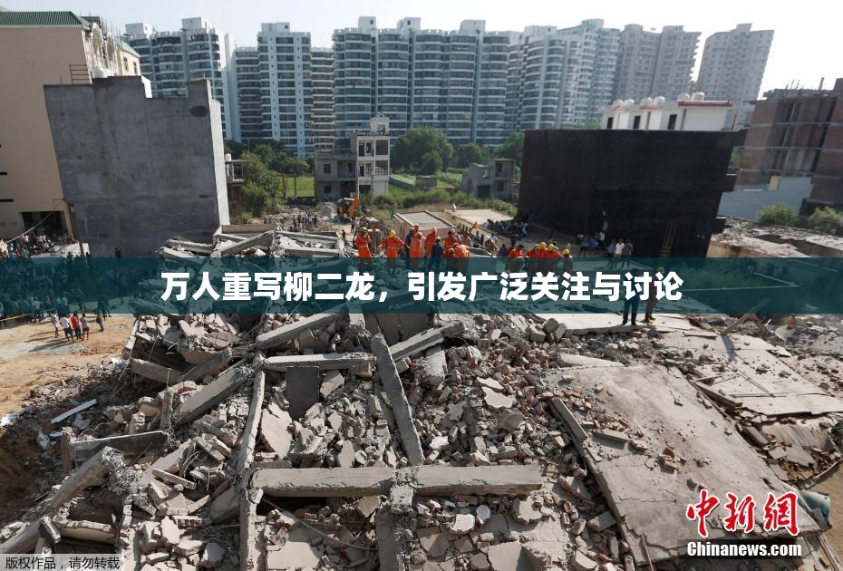 万人重写柳二龙，引发广泛关注与讨论