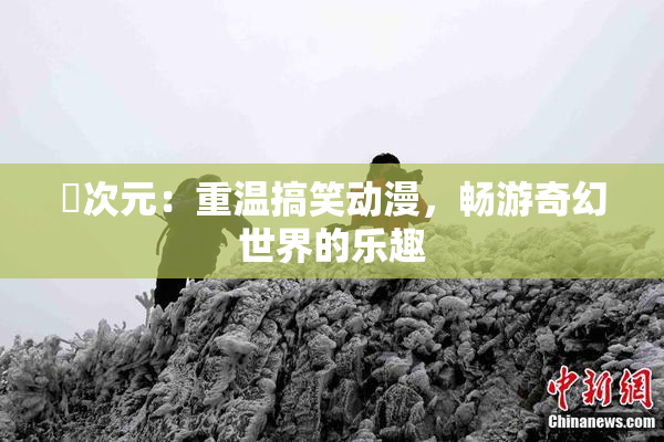 囧次元：重温搞笑动漫，畅游奇幻世界的乐趣