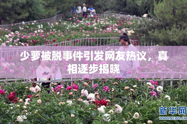 少萝被脱事件引发网友热议，真相逐步揭晓