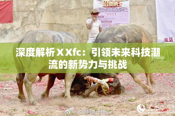 深度解析ⅩXfc：引领未来科技潮流的新势力与挑战