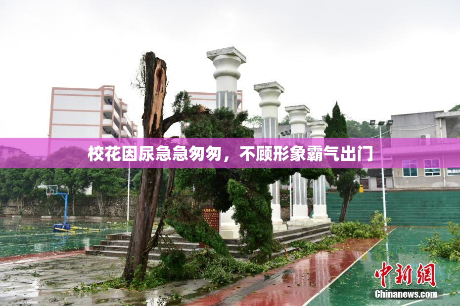 校花因尿急急匆匆，不顾形象霸气出门