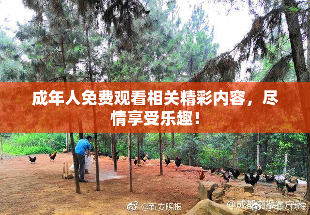 成年人免费观看相关精彩内容，尽情享受乐趣！