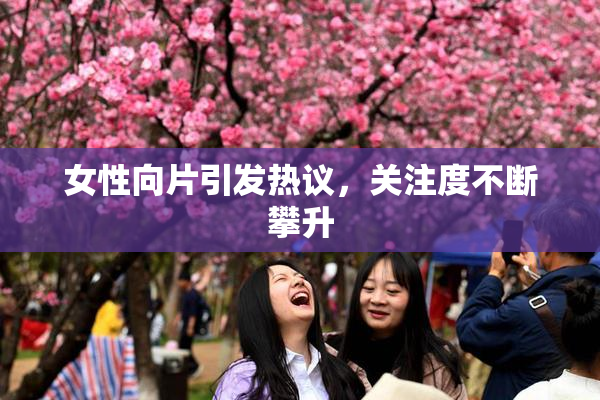 女性向片引发热议，关注度不断攀升